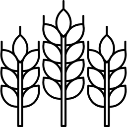 Founder's Signature